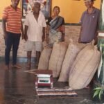 🛑सिंधुदुर्गातील काजू उत्पादकांना विनंती आहे दर स्थिर राहण्यासाठी फक्त गरजेपुरताच काजू विका.