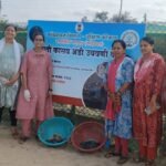 🛑ऑलिव्ह रिडले प्रजातीच्या 104कासवांच्या पिल्लांना आचरा समुद्रात सोडल.;कासवमित्र सुर्यकांत धुरी यांचा उपक्रम..