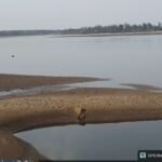 🛑सर्जेकोट बंदर ते शेलटी जेटीपर्यंतचा गाळ काढा अन्यथा आम्ही उपोषण करू.;रेवंडी ग्रामस्थांचे जिल्हाधिकाऱ्यांना निवेदन..