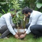 🛑जागतिक पर्यावरण दिनानिमित्त भाजपा युवानेते विशाल परब यांच्याकडून वृक्ष लागवड..