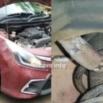 🛑वेताळ बांबर्डे येथे कारच्या बॉनेटमध्ये सापडला सोंगट्या जातीचा साप.
