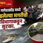 🛑पिंगुळी गणेशकोंड मध्ये सापडलेल्या मगरीची वनविभागाकडुन सुटका.